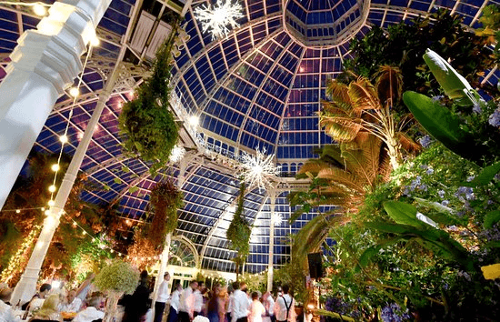 Liverpool's Most Instagrammable Spots Sefton Park Palm House